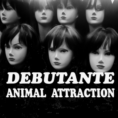 Album cover for Animal Attraction