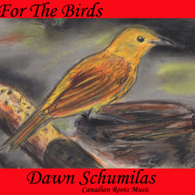 Album cover for For The Birds